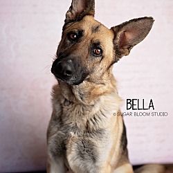 Photo of Bella