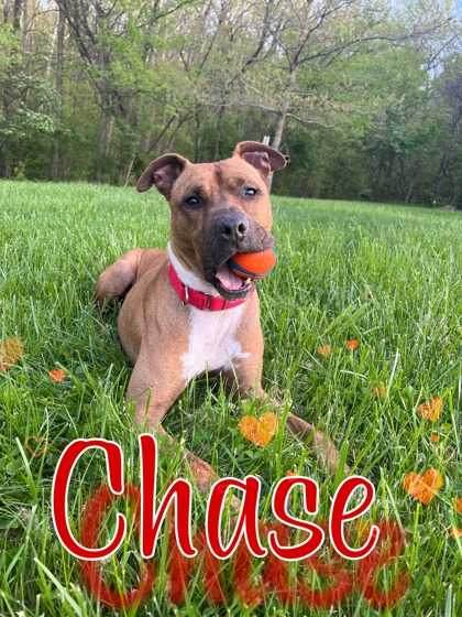 Thumbnail photo of Chase #1