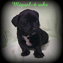 Thumbnail photo of Miguel #3