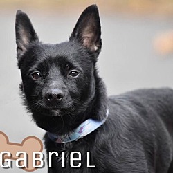 Thumbnail photo of Gabriel in CT #1