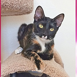 Photo of Hazel Renee