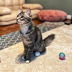 Photo of Fiona