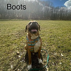 Thumbnail photo of Boots #1