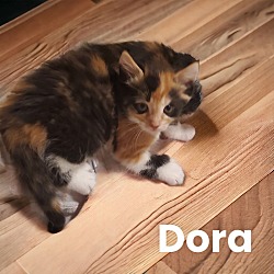 Thumbnail photo of Dora the Explorer #3