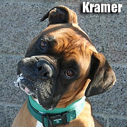 Thumbnail photo of Kramer #1