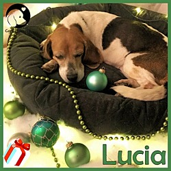Thumbnail photo of Lucia #1