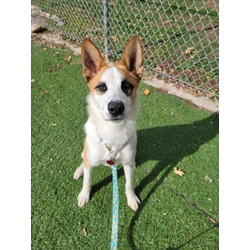Photo of ROMEO