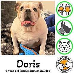 Thumbnail photo of Doris #1