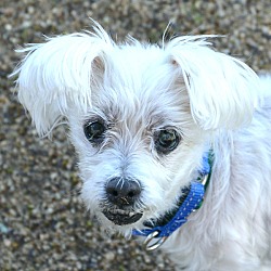 Photo of Toula