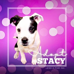 Thumbnail photo of Stacey #1