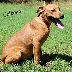 Thumbnail photo of Coleman ~ meet me! #1