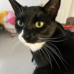 Photo of Buffy