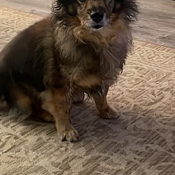 Photo of Sebastian (I call him Polo )