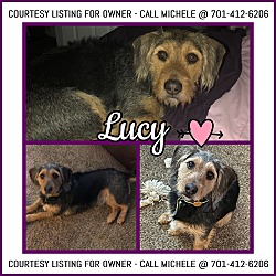 Photo of Lucy-COURTESY LISTING
