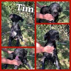 Thumbnail photo of Tim #2