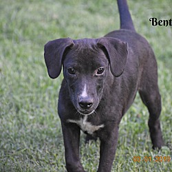 Thumbnail photo of Bentley ~ meet me! #2