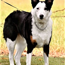 Photo of EVEE