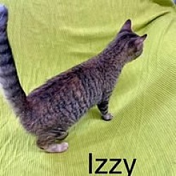 Photo of Izzy