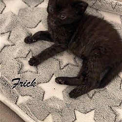 Photo of Frick