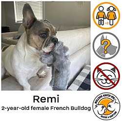 Thumbnail photo of Remi #1