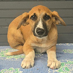 Abigail *foster needed*