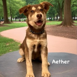 Photo of Aether