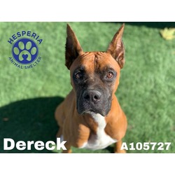 Photo of DERECK