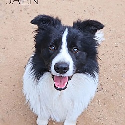 Photo of Jaèn