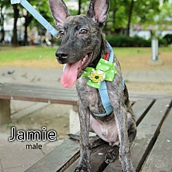 Thumbnail photo of Jaimie #2