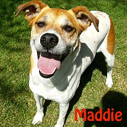 Thumbnail photo of Maddie #1