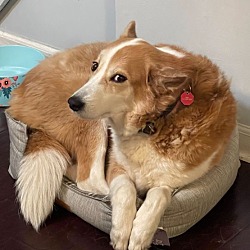 Photo of Nikki