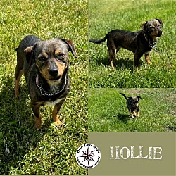 Photo of Hollie