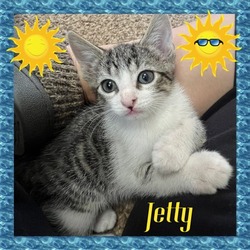 Thumbnail photo of Jetty #2