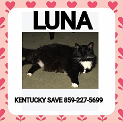 Thumbnail photo of Luna #3