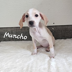 Thumbnail photo of Muncho ~ meet me! #3