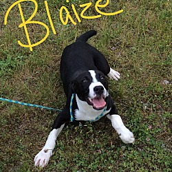 Photo of Blaize