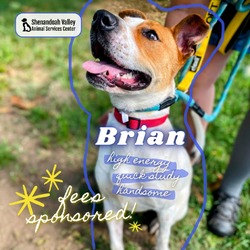 Thumbnail photo of Brian #1