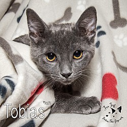 Photo of Tobias