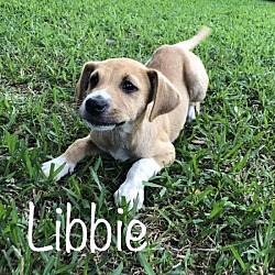 Photo of Libbie