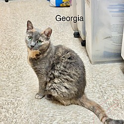 Thumbnail photo of Georgia #2