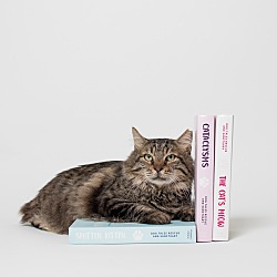 Photo of Big Boy