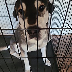 Photo of Chase