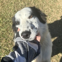 Photo of Jace