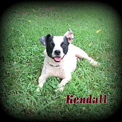 Thumbnail photo of Kendall #1