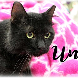 Thumbnail photo of Uni #2