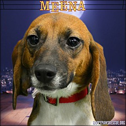 Photo of Meena