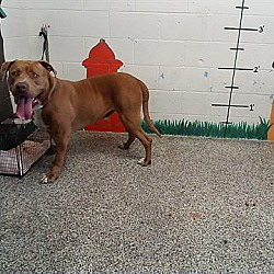 Photo of URGENT on 5/2 SAN BERNARDINO