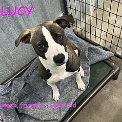 Thumbnail photo of LUCY #2