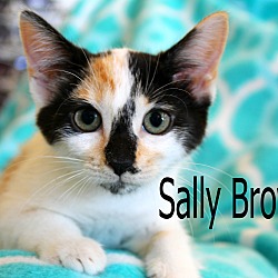 Thumbnail photo of Sally Brown #1