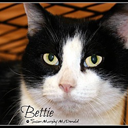 Photo of Bettie